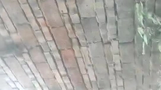 女神姐妹花【无敌兔兔】双女诱惑，超高颜值，互舔骚逼跳蛋自慰，假屌抽插流出白浆