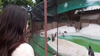 168的大胸妹子.被猛男操的白浆都出来了，奶都抓爆了