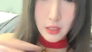 喜喜羊羊与灰太狼5