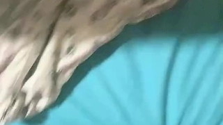 不同视角嫩逼少妇晨炮